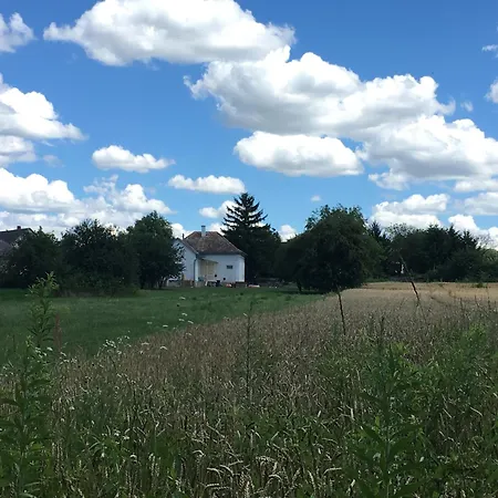 House * Mernye